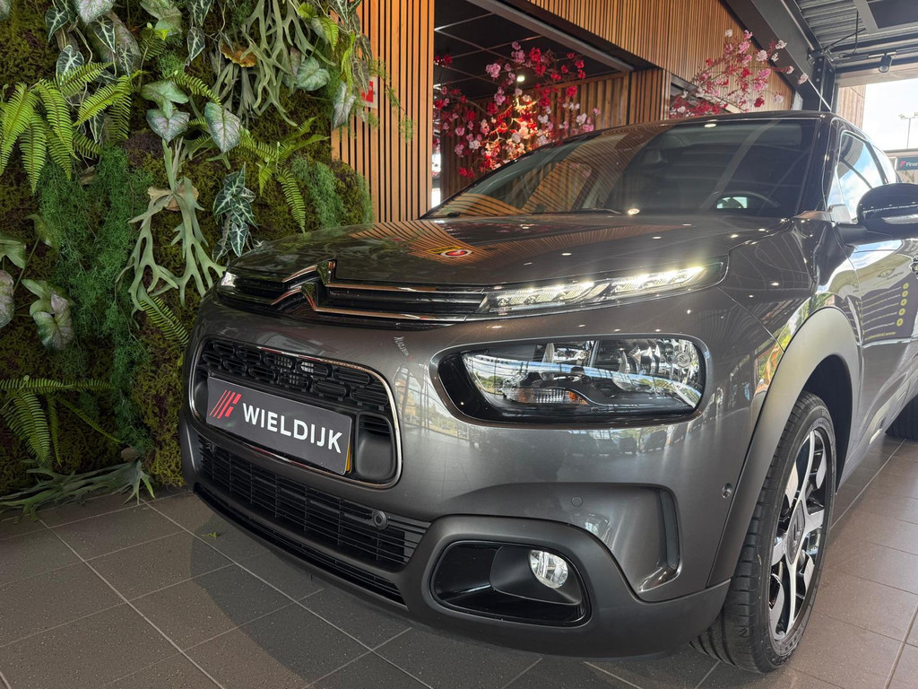 Citroën C4 Cactus 1