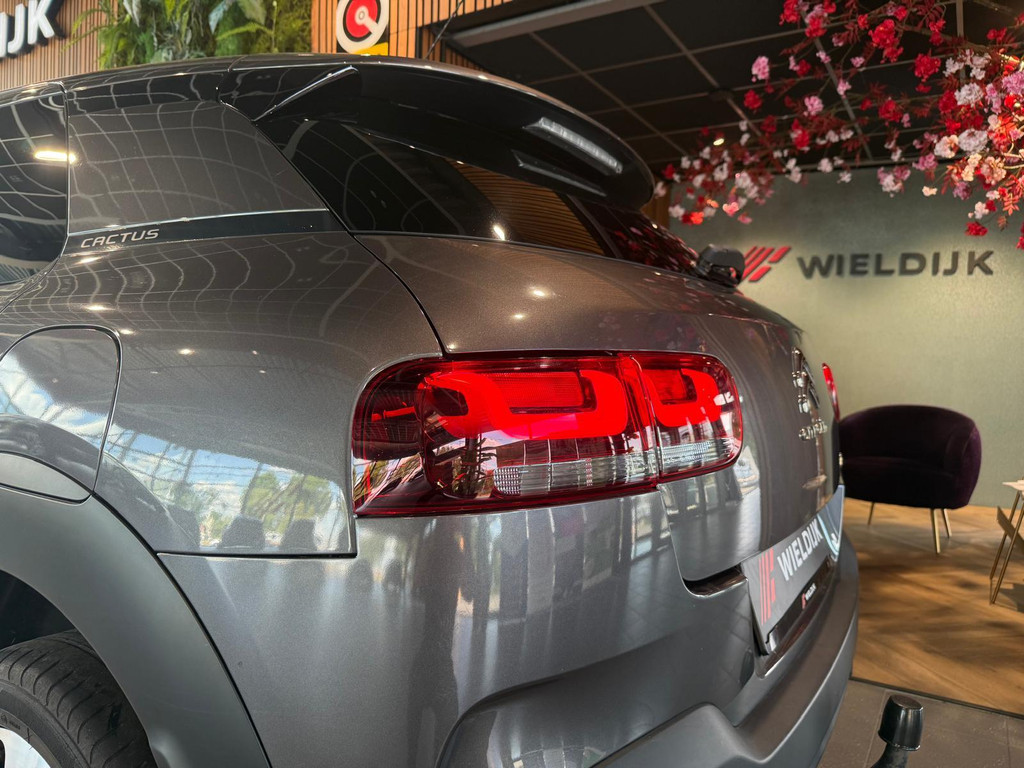 Citroën C4 Cactus 1