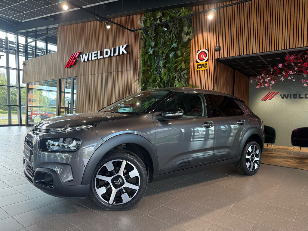 Citroën C4 Cactus 1