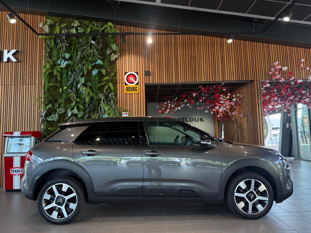 Citroën C4 Cactus 1
