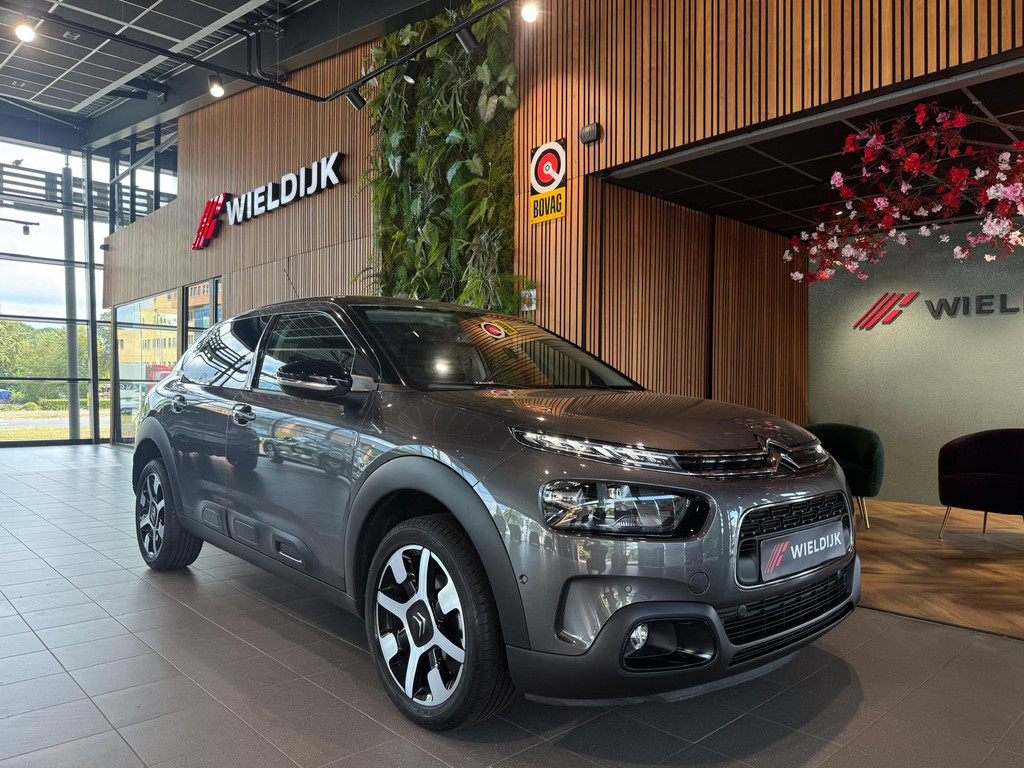 Citroën C4 Cactus 1